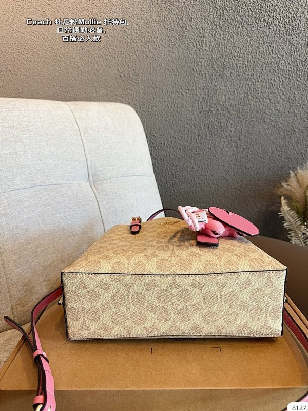 MCP61 bag 26-7-21CM Handbag